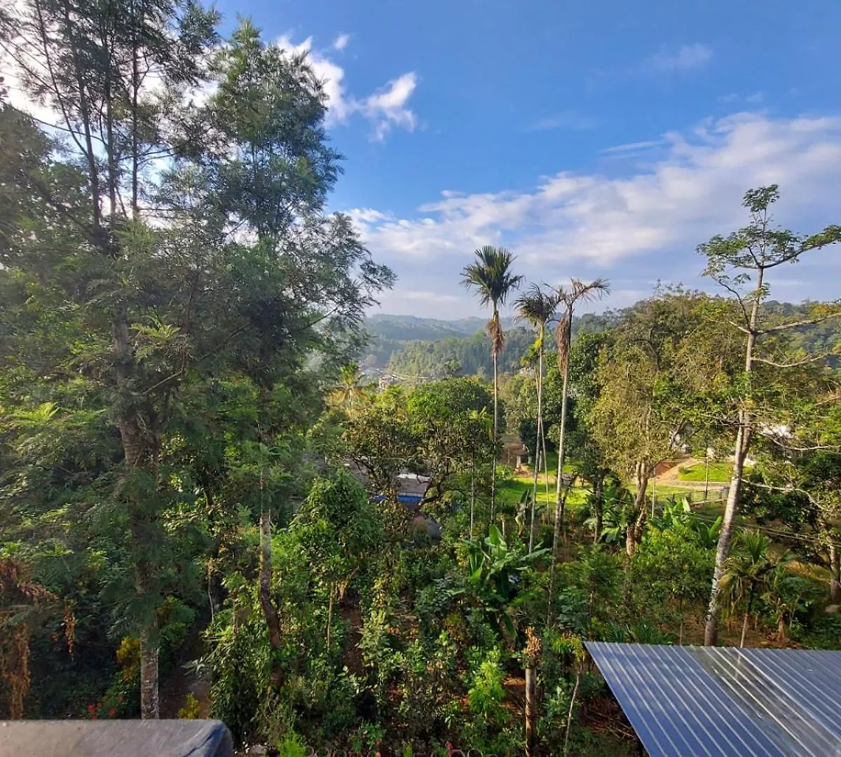 Homestay Home Stay Green Pepper Anachal